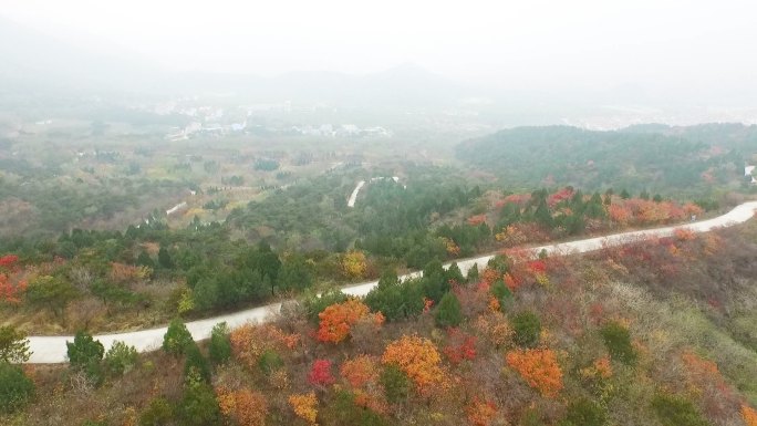 山村 大山 道路 航拍