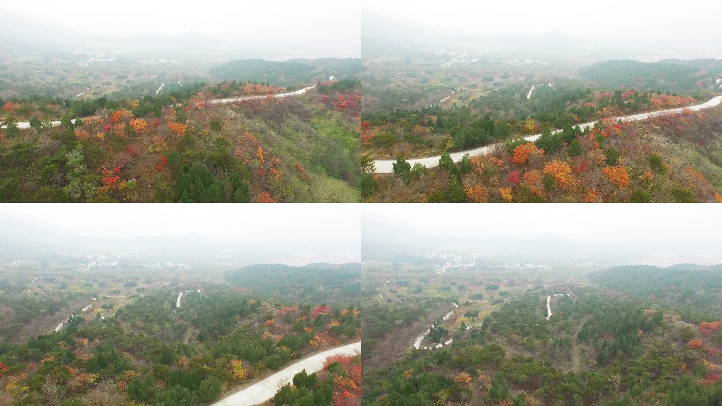 山村 大山 道路 航拍