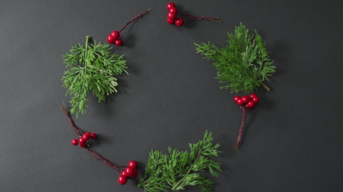 圣诞节装饰与红色浆果树枝的视频和拷贝空间在黑色背景上