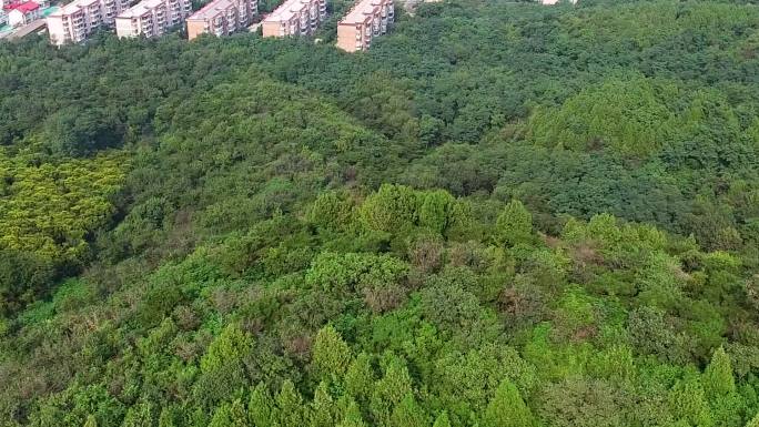 山村 大山 道路 航拍