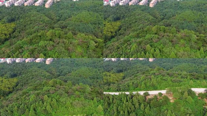 山村 大山 道路 航拍