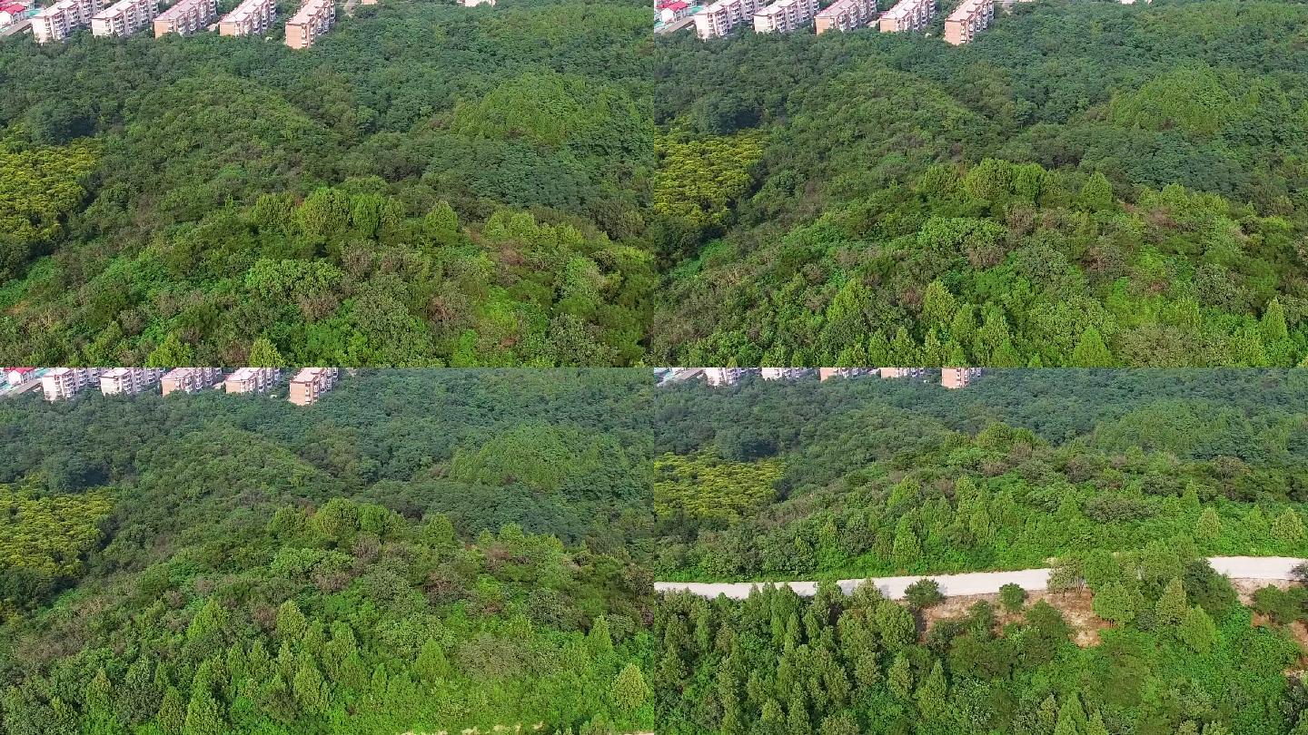 山村 大山 道路 航拍