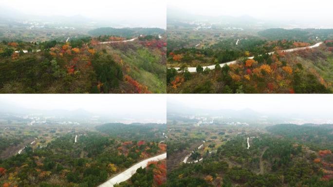 山村 大山 道路 航拍