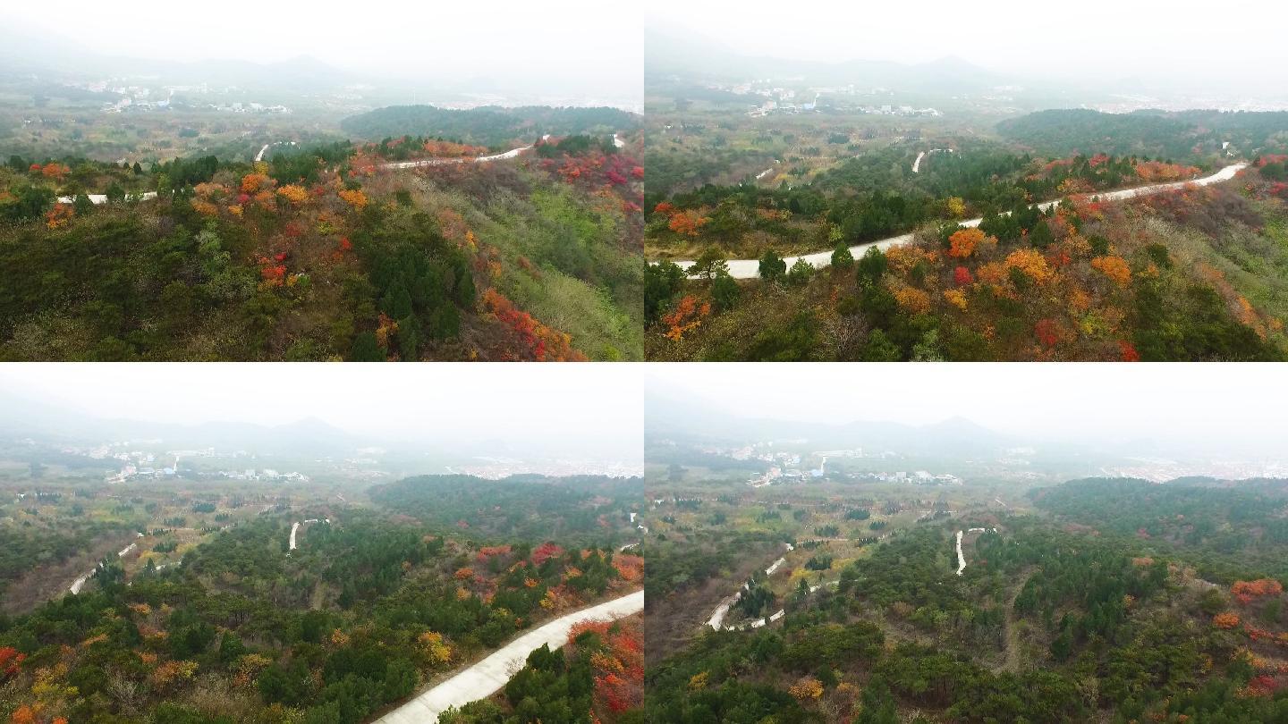 山村 大山 道路 航拍