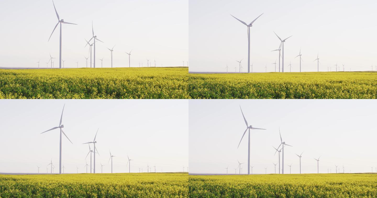 在无云的天空下，乡村风景中的风力涡轮机的一般视图
