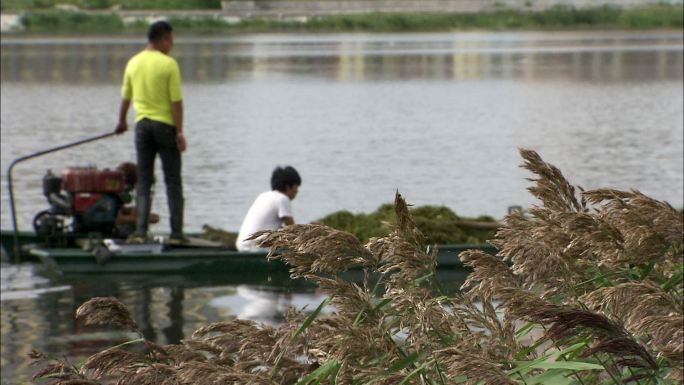 河流上处理水草的船