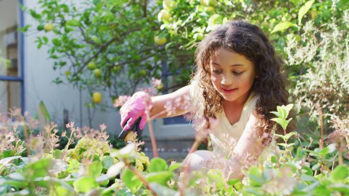混血儿女儿在阳光花园园艺，照顾植物