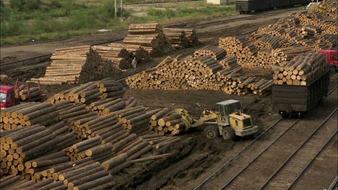 伐木场 原木 运输 贸易