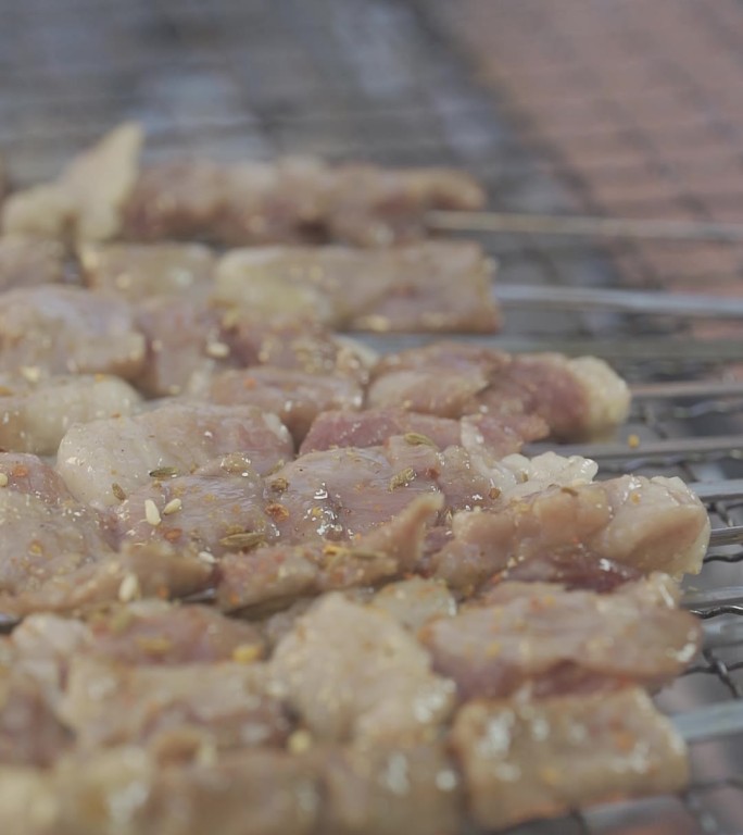 烤串 撒料 BBQ 烧烤 羊肉串