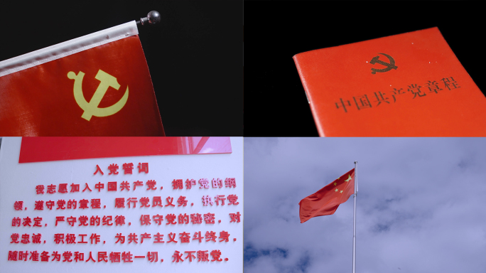 党徽党旗党章七一党建