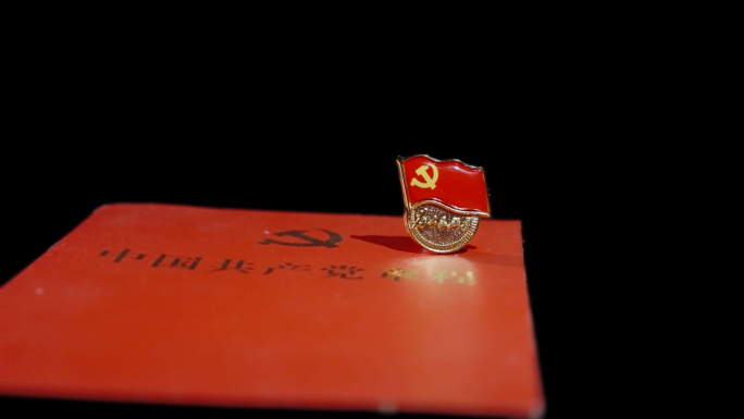 党徽党旗党章七一党建