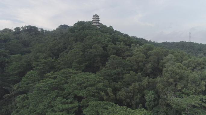 宝塔 镇妖塔 镇妖 塔楼 雷峰塔 灰度