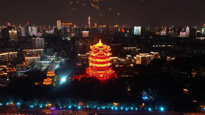 黄鹤楼夜景和平鸽飞跃黄鹤楼鸽子