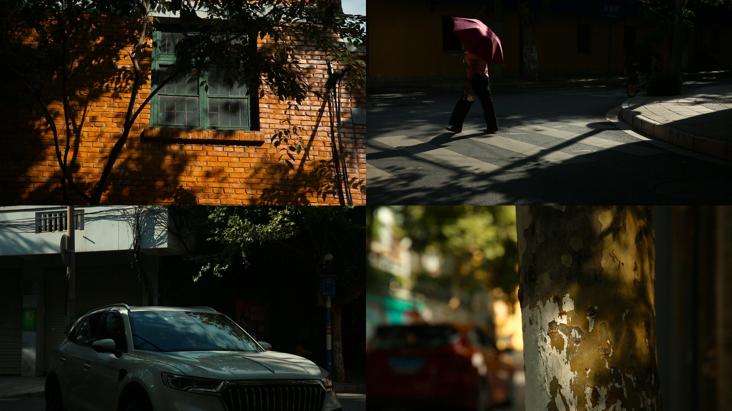 实拍城市人文生活|光影中的老街|树荫斑驳