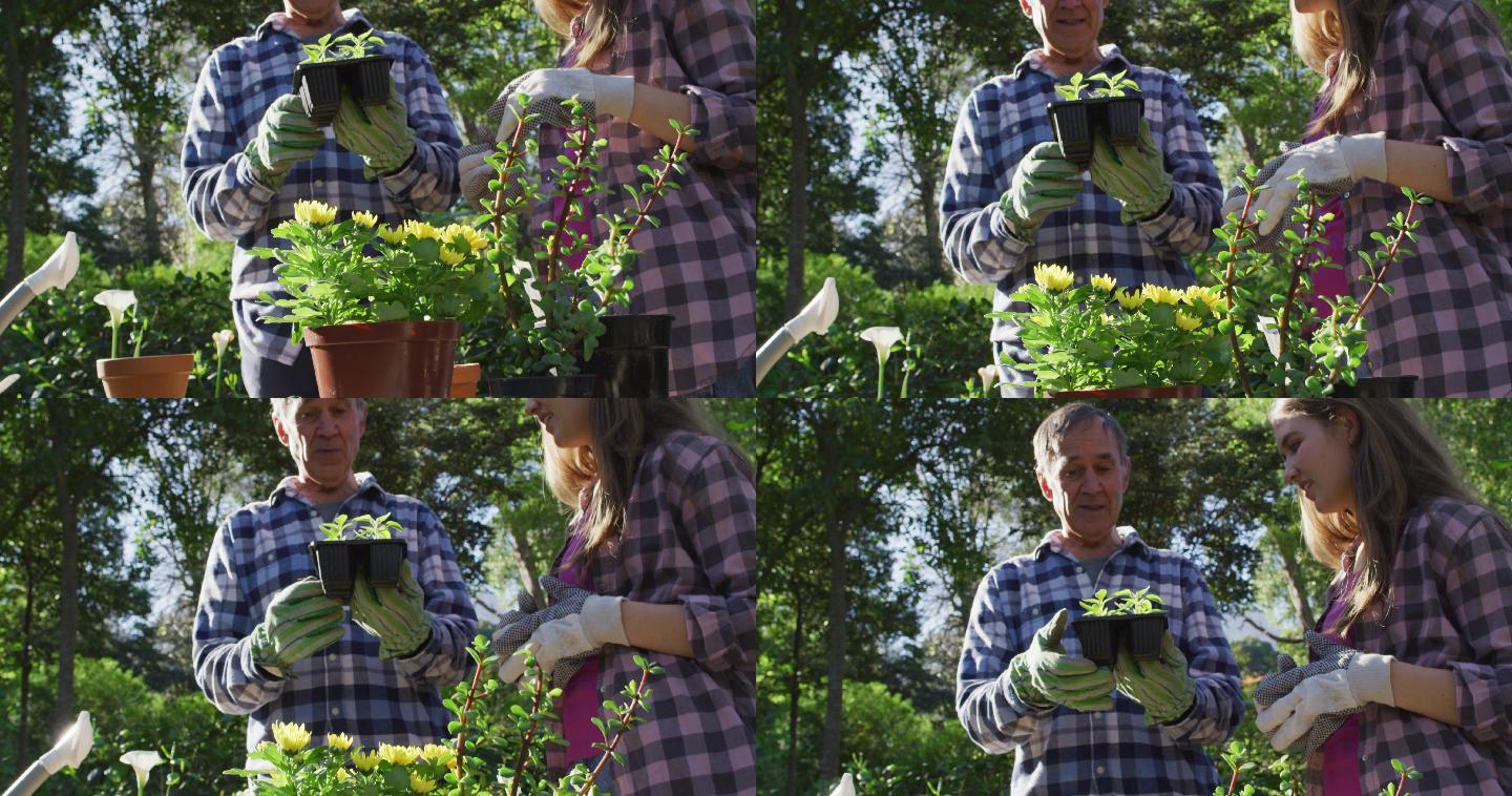 微笑的白人父亲和十几岁的女儿在花园里工作和检查植物