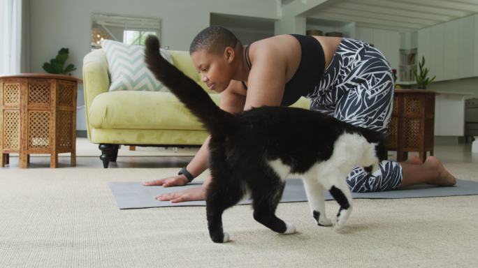 快乐的非裔美国胖女人练习瑜伽，和她的宠物猫在客厅里伸展身体
