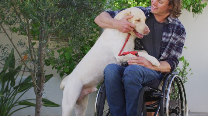 坐在轮椅上微笑的白人残疾人在街上与宠物狗玩耍