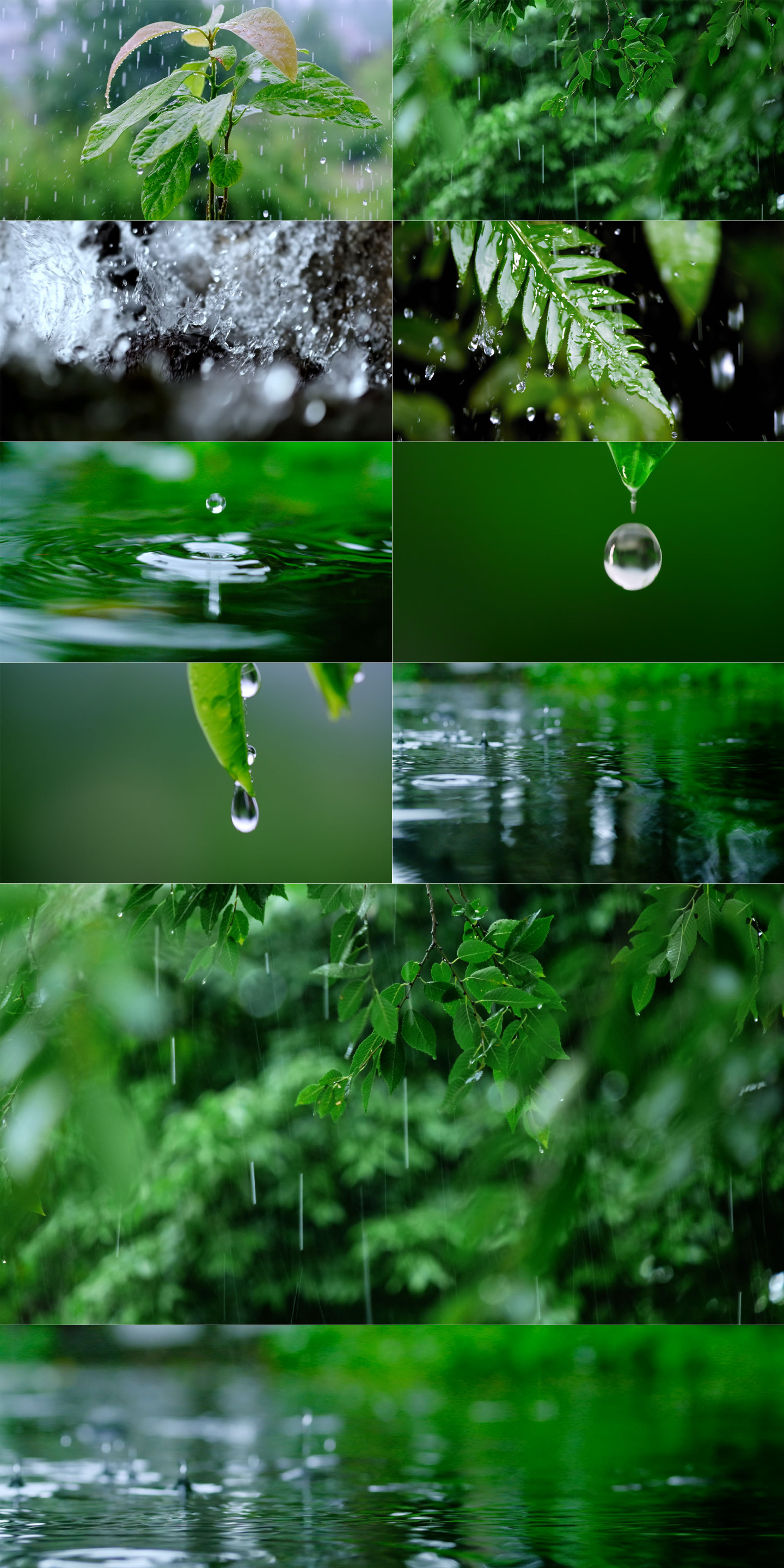 水雨滴自然树林下雨泉水溪水流水水滴雨水
