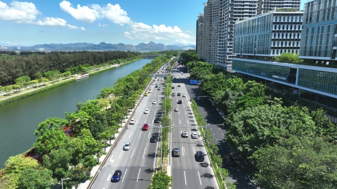 【正版原创】美丽深圳沙河西路城市生态