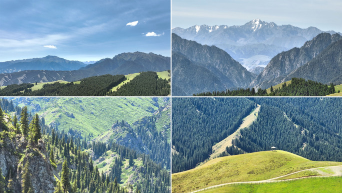 南山牧场 天山山脉