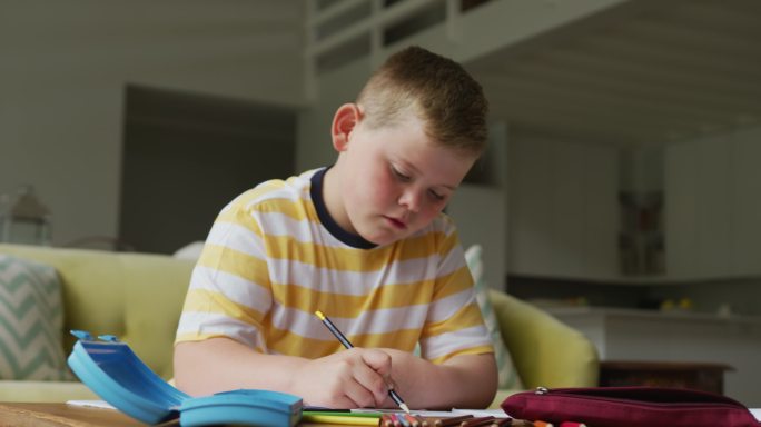 一个白人男孩坐在桌前，独自在家学习