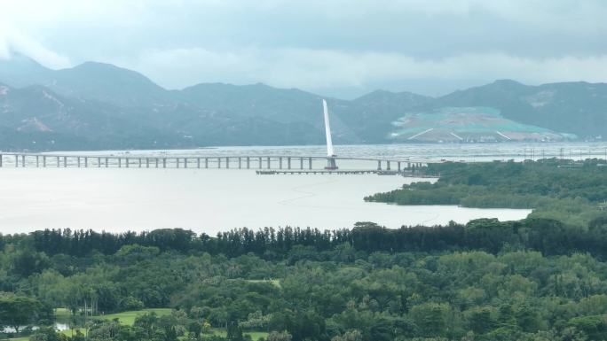 深圳湾大桥海洋红树林生态航拍