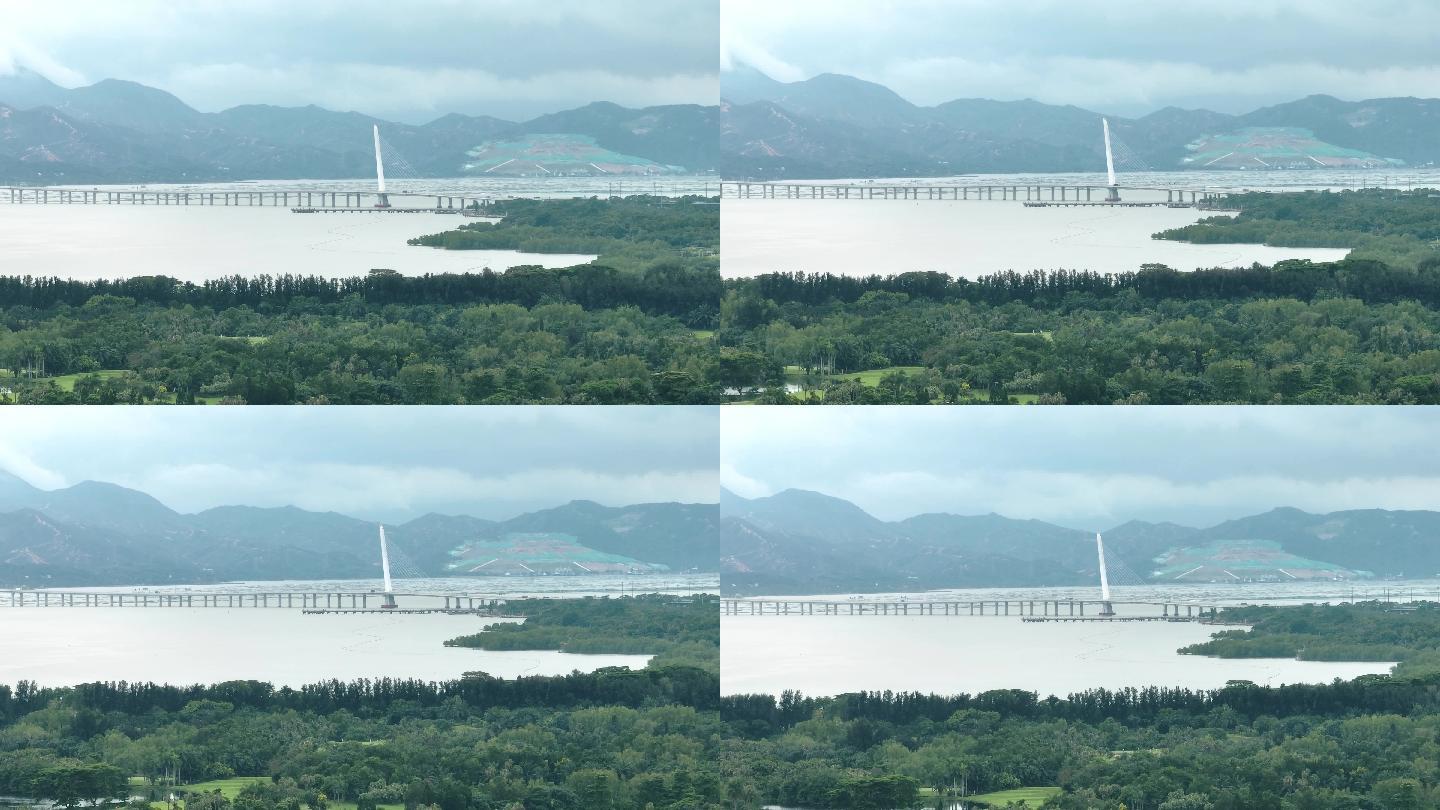 深圳湾大桥海洋红树林生态航拍