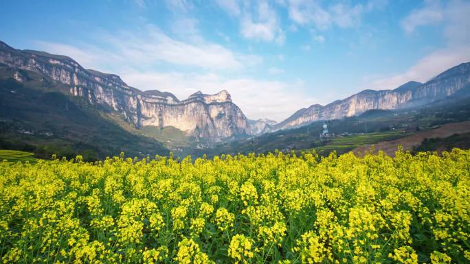 恩施大峡谷田凤坪油菜花海