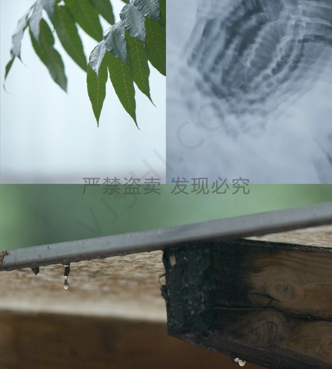 竖屏水滴树叶雨滴合集