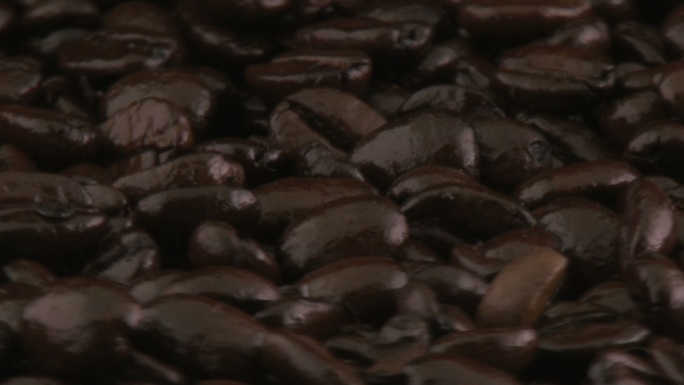 咖啡豆特写摩卡咖啡咖啡因谷类植物