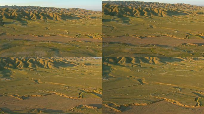 直升机航拍内蒙古鄂尔多斯市库布齐沙漠61