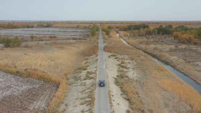 航拍  新疆库尔勒 野外 车荒凉秋景
