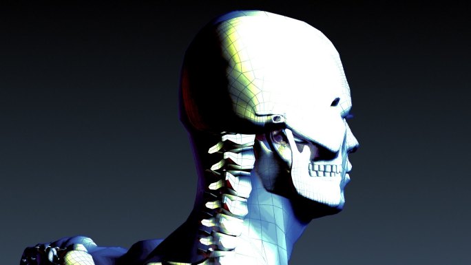 人体骨骼的x射线动画特效