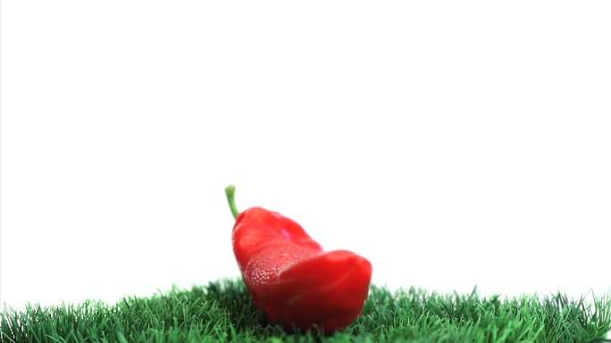 草上的红辣椒特写特写拍摄绿色无公害红辣椒