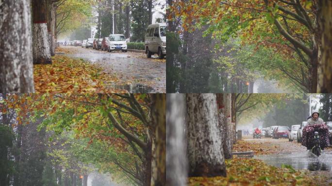 秋天下雨升格