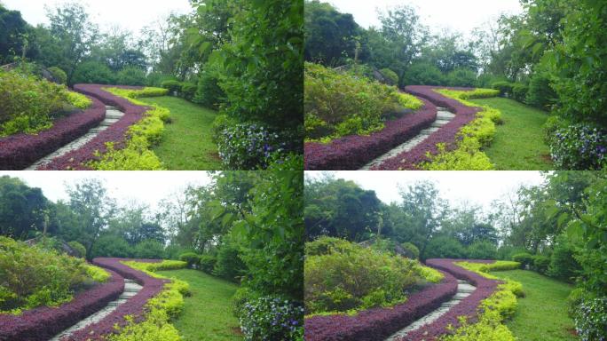 公园-小道-绿色-升格