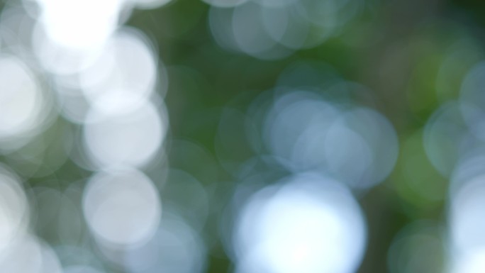 树林逆光光斑-唯美梦幻光斑空镜视频素材