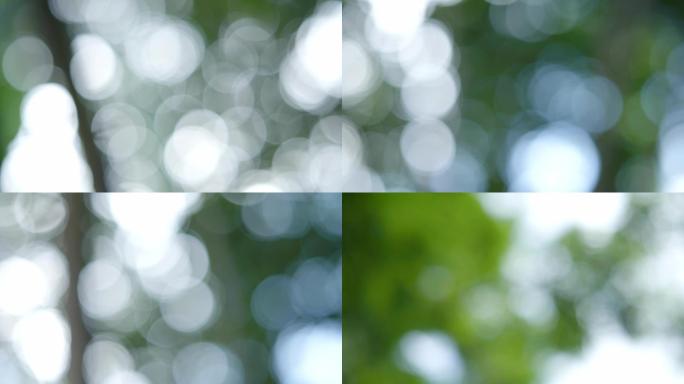 树林逆光光斑-唯美梦幻光斑空镜视频素材
