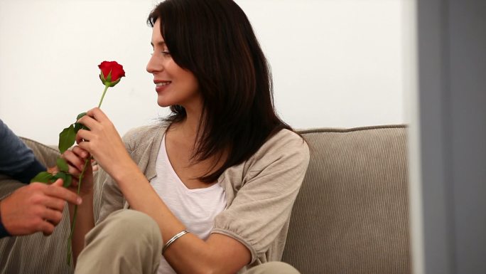 男人给妻子一支玫瑰花特写