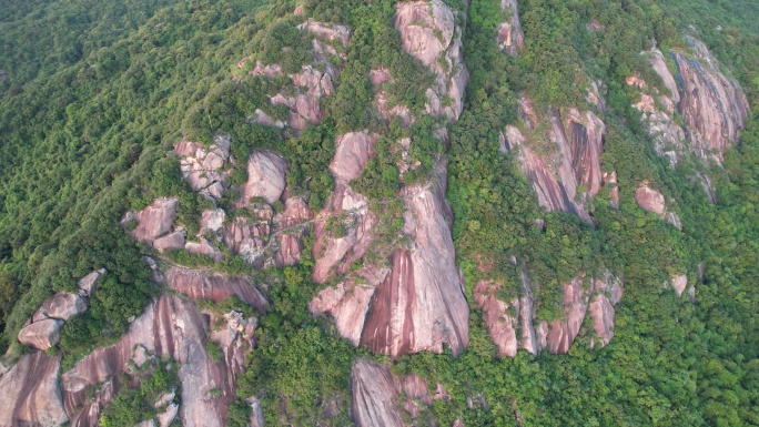 【正版素材】深圳园山