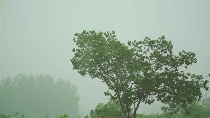 大雨 山区大雨 暴雨