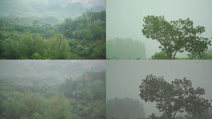 大雨 山区大雨 暴雨