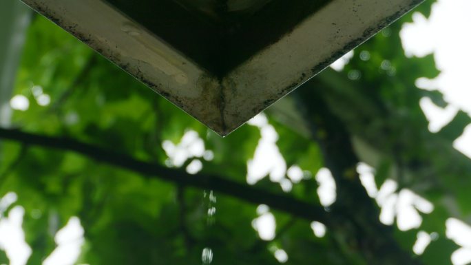 下雨天，雨滴落下， 涟漪