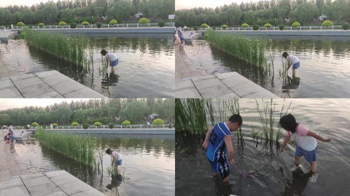 儿童戏水 城市环境 生态文明 河边