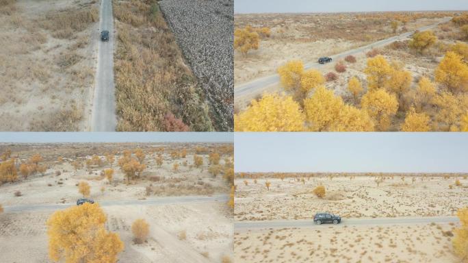 航拍新疆库尔勒野外单车行驶荒凉黄树叶