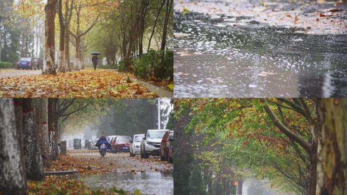 秋雨落叶行人升格