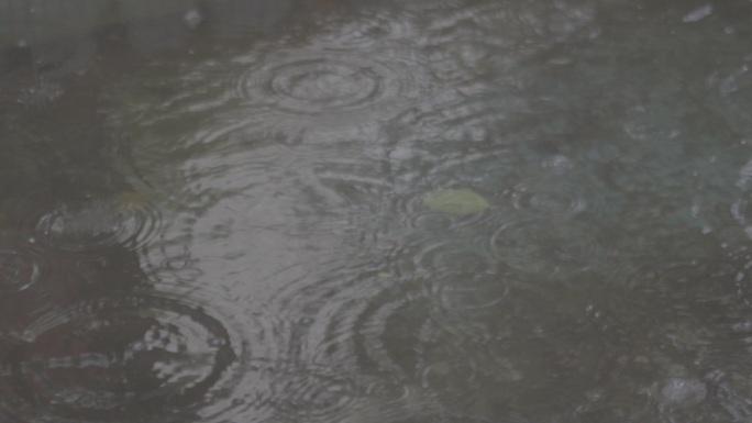 暴雨天的水池里的涟漪