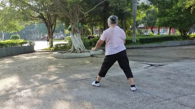 打太极清晨晨运公园锻炼身体打太极的老太