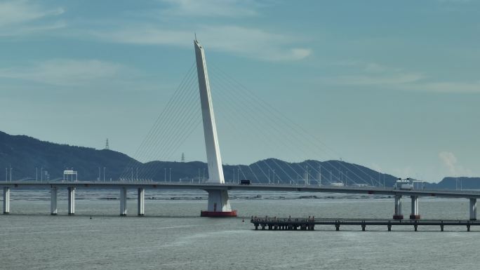 4K正版-航拍长焦视角深圳湾大桥