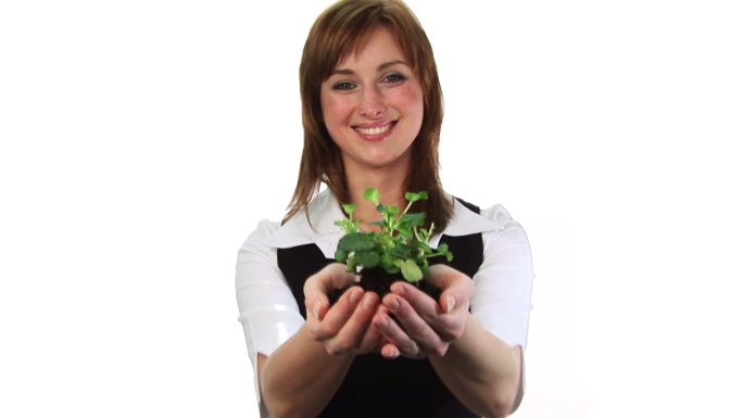 一个女人拿着植物特写